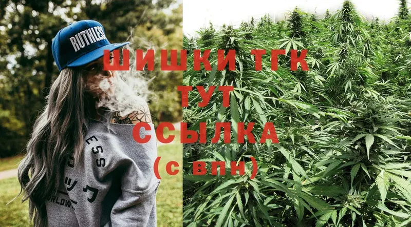 МЕГА маркетплейс  Ногинск  darknet формула  Бошки марихуана Ganja 